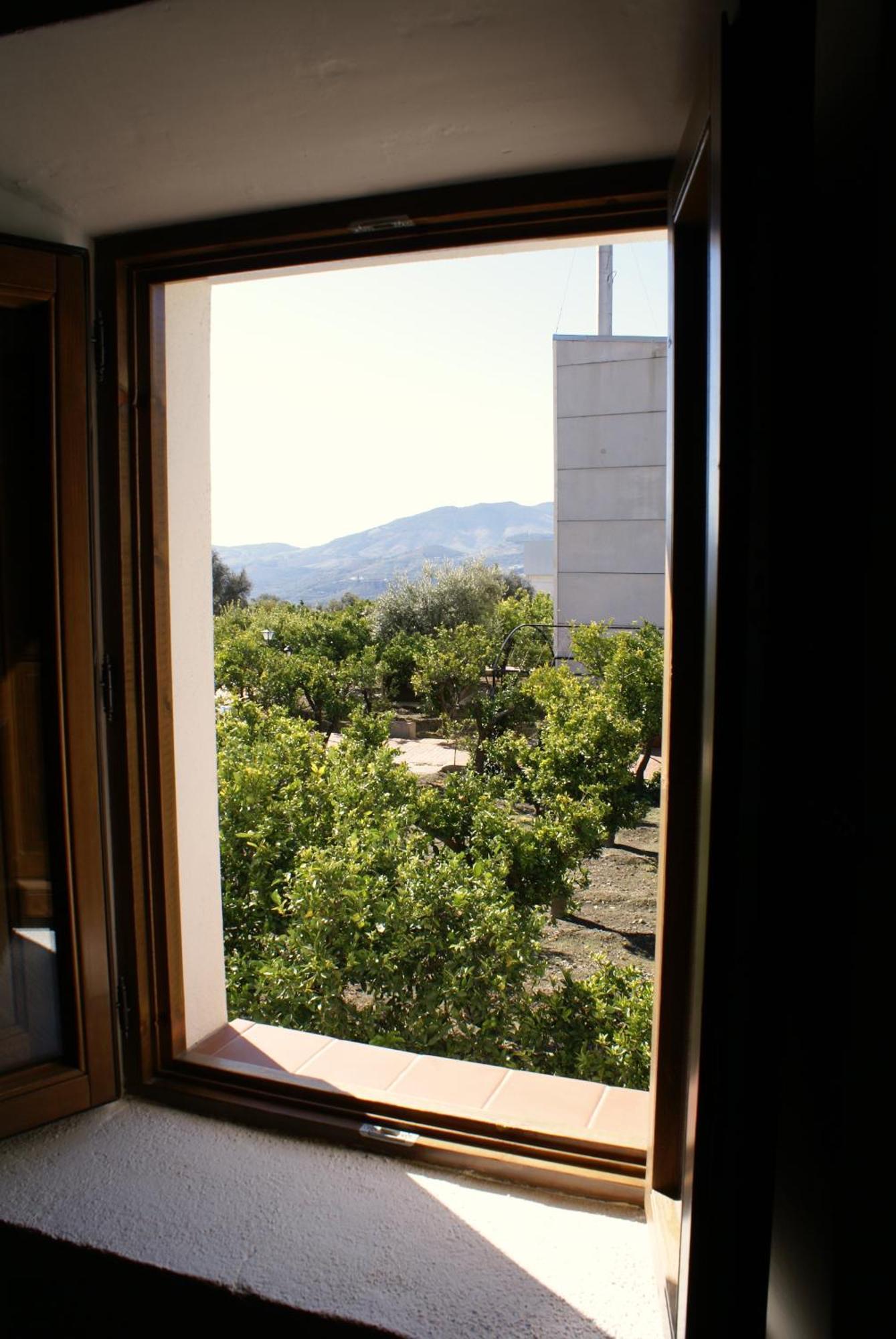 La Canota 2-Floors King Rooms Adults Only Talara 部屋 写真