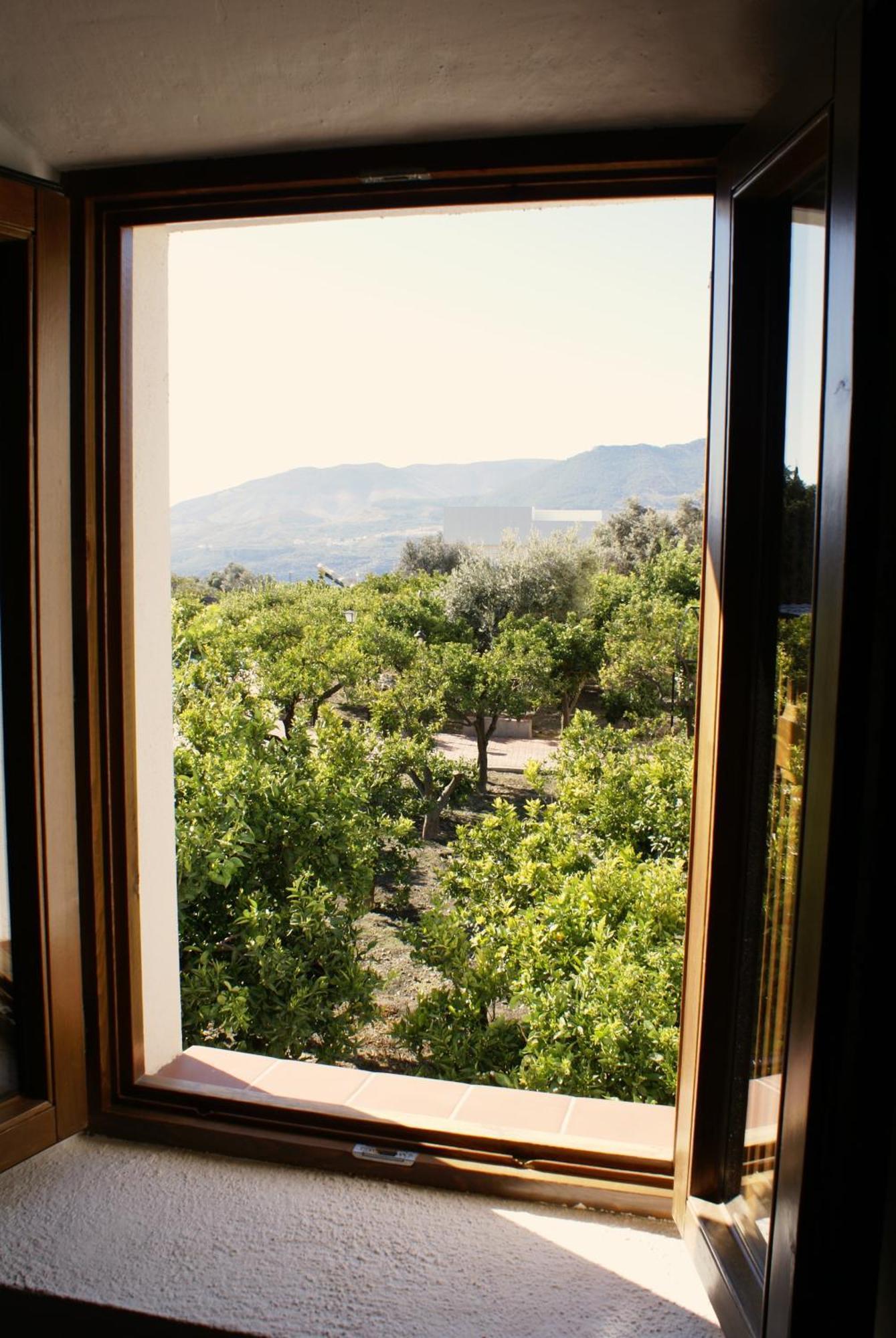 La Canota 2-Floors King Rooms Adults Only Talara 部屋 写真
